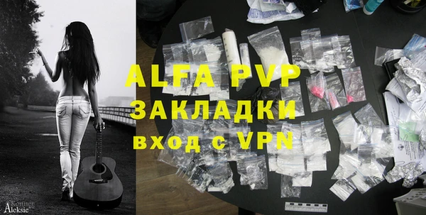 PSILOCYBIN Михайлов