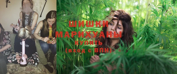 PSILOCYBIN Михайлов