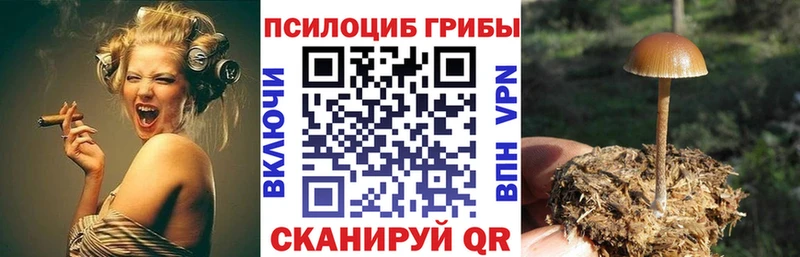 Псилоцибиновые грибы мухоморы  как найти закладки  Юхнов 